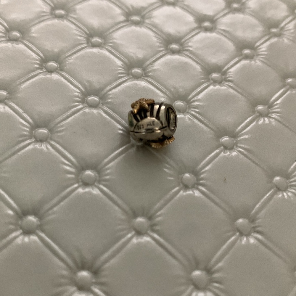 Pandora Charm - Picture 2 of 3